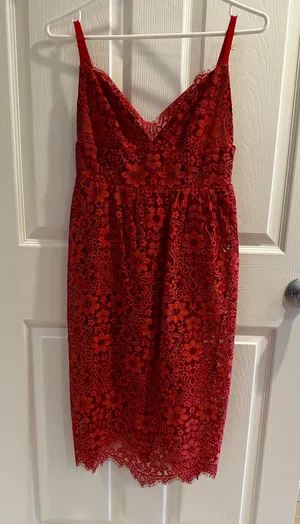 For Love & Lemons Red Dress thumbnail 2