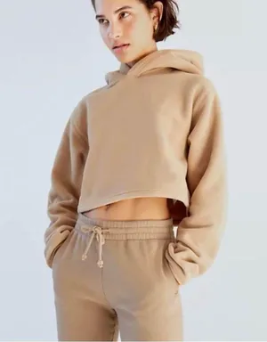 Aritzia TNA Hoodie thumbnail 6