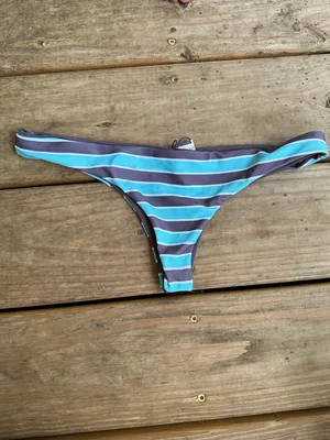 NWOT L*Space Forever striped thong style bikini bottoms thumbnail 4