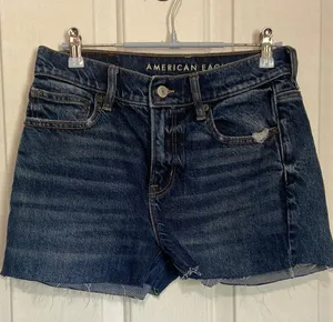 American Eagle Outfitters Women's Blue Denim Shorts thumbnail 1