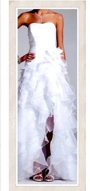 David's Bridal Wedding Dress “” thumbnail 2