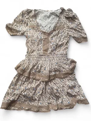 Olivaceous Beige and Blue Floral Prairie Costume Dress thumbnail 2