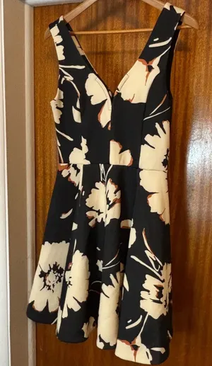 Anthropologie Floral Fit and Flare‎ V-Neck Scuba Dress Black Cream Sleeveless thumbnail 1