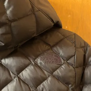 The North Face 550 Transit Down Parka Coat in Black thumbnail 10