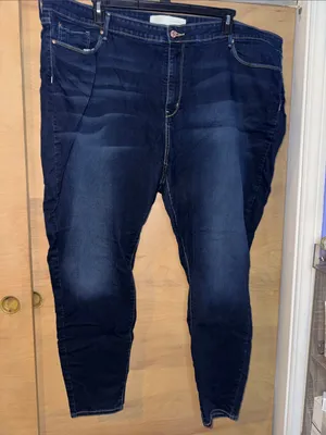 Signature by Levi Strauss Women’s Plus Size Skinny Jeans in Dark Indigo thumbnail 1