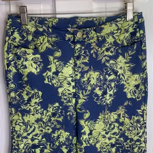 Soft Surroundings Elisabetta Blue Green Floral Gold Detail Pants W-045 Sz XS thumbnail 3