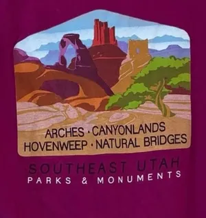 Pink Graphic Short Sleeve Tee Shirt thumbnail 4