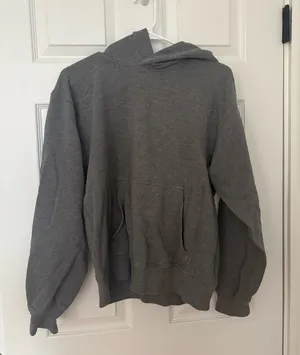 Aritzia Perfect Fit Hoodie thumbnail 1