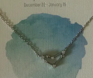 Francesca's Sterling Silver Capricorn Zodiac Constellation Necklace Silver NEW thumbnail 1
