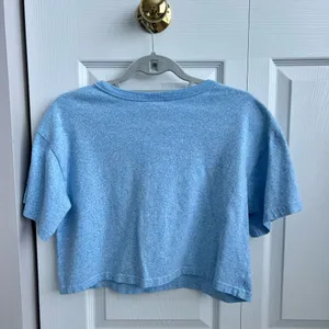 Champion Blue Shirt thumbnail 2