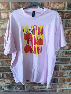 Gildan Light Pink Short Sleeve Tee with Pumpkin Graphic thumbnail 1