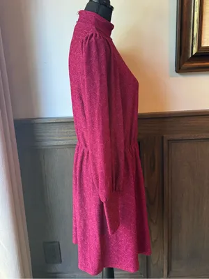 Magenta sparkle Long-Sleeve Mock Neck Dress nwt small thumbnail 4