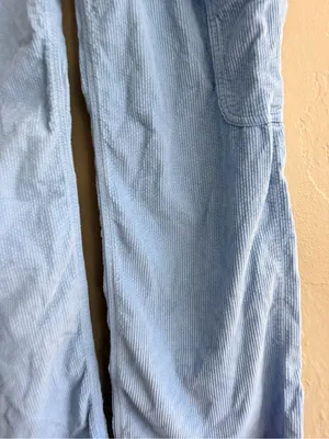 American Eagle Outfitters Light Blue Wide-Leg Corduroy Cargo Pants size 0 short thumbnail 2
