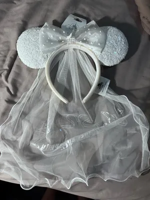 Disney Mickey ears  thumbnail 1