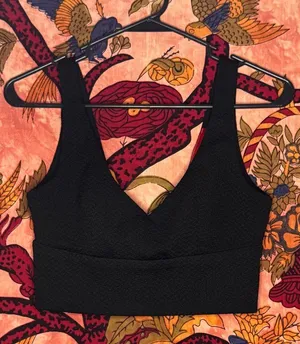 Black Plunge Neck Akira Crop Top thumbnail 1