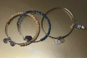 Alex and Ani Bangle Charm Bracelet thumbnail 1