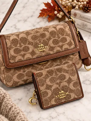 NEW Coach Etta Chenille Shoulder Crossbody Bag + Wallet Set CCV65 CCQ32 thumbnail 2