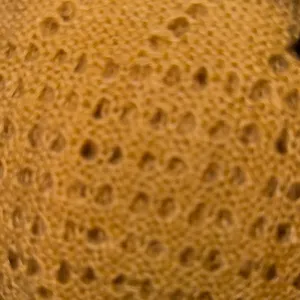 Women's Short‎ Sleeve Knit Cardigan thumbnail 4