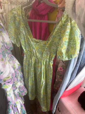 Show Me Your Mumu Dress thumbnail 2