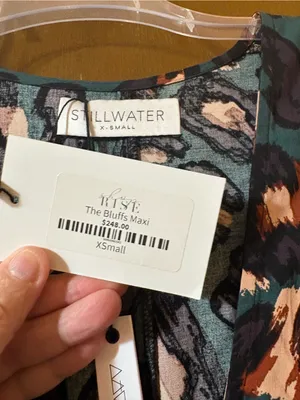 NWT Stillwater Green Cheetah Plunging Neckline Maxi Dress thumbnail 5