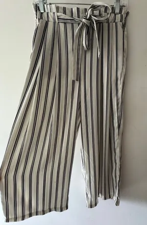 Zara‎ Blue White And Silver Striped Wide Leg Ankle Pants Pull On Elastic Waist thumbnail 1