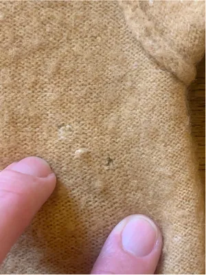 Free People Sweater Large Gold Tan thumbnail 3