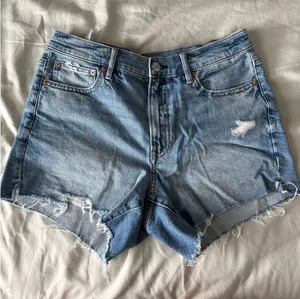 American Eagle Outfitters Shorts thumbnail 1