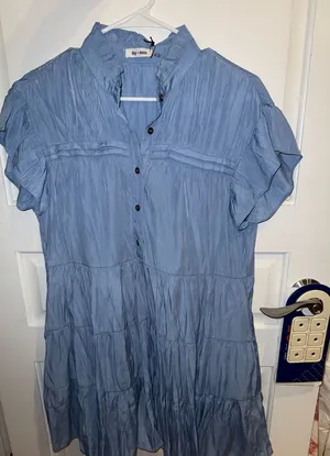 Day + Moon Blue Button-Down Dress thumbnail 1