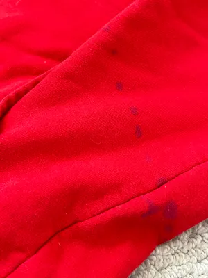 Champion Red  Hoodie thumbnail 4