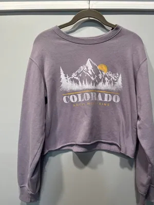 Hollister Purple Cropped Sweatshirt thumbnail 1