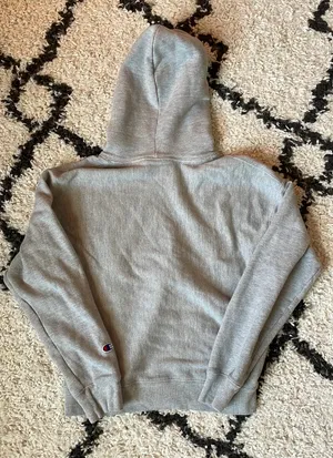 Reverse Weave Hoodie thumbnail 3