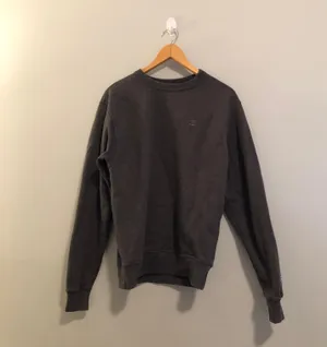 Champion Gray Crew Neck thumbnail 6