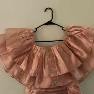 Choosy Copper Rose Organza Dress Size Small thumbnail 8