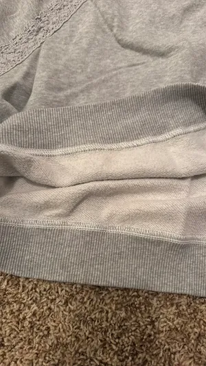Aerie Crewneck  thumbnail 8