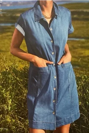 Cabi Piece of Cake Blue Chambray Denim Button Front Mini Dress Size Small 6580 thumbnail 1