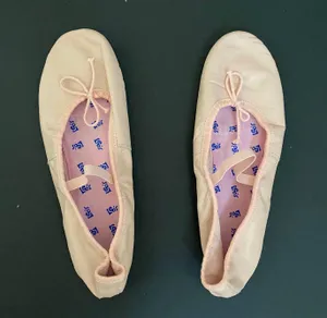 Leos Ballet Slipper Shoes Adult Dance Shoes thumbnail 1