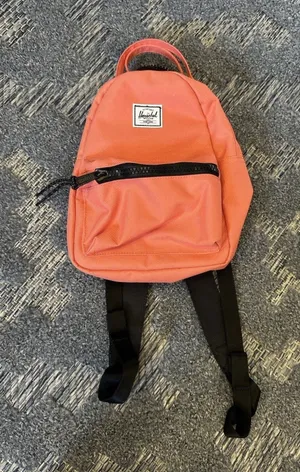 Herschel Supply Co Nova Mini Backpack Unisex Bag Porcelain Rose Book Bag NWOT thumbnail 1