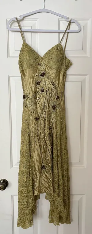 Sue Wong Beaded Lace Midi Dress thumbnail 1