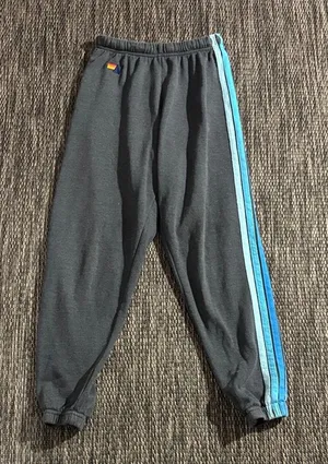 Aviator Nation 5 Stripe Sweatpant Jogger Blue Stripe Size XS thumbnail 1