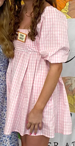 Francesca’s Pink Gingham Mini Dress Small thumbnail 1