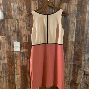 Ann Taylor Loft color block dress (Pink) size 8 thumbnail 4