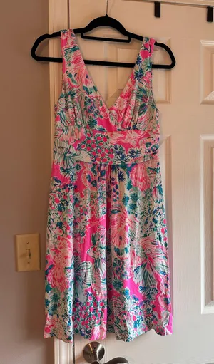 Lilly Pulitzer Dress thumbnail 1