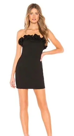 Amanda Uprichard Envy Mini Dress Sz S Black Sleeveless Ruffle thumbnail 1
