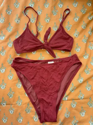 Brick Red Wild Fable Bikini thumbnail 1