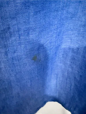 J. McLaughlin 100% Linen Blue Button Down Shirt Coastal Quiet Luxury XS thumbnail 7