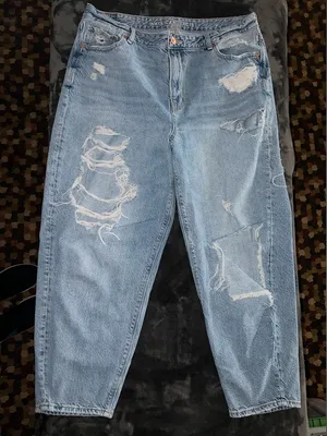 American Eagle Relaxed Mom Jean Size 16 Regular thumbnail 1