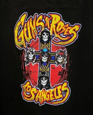 Guns N’ Roses LA Not in This Lifetime Rock Band Hoodie 2XL thumbnail 2