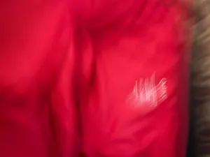 Quince swimsuit nwt thumbnail 5