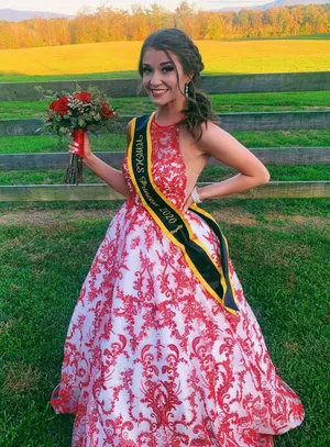 Sherri Hill Dress thumbnail 3