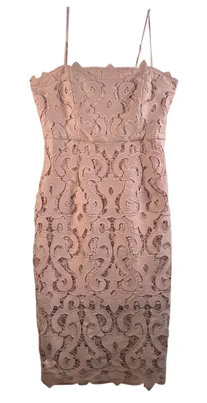 Bardot Pink‎ Lace Scalloped Hem Sleeveless Midi Sheath Dress Size US 8 M thumbnail 1